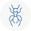 Ant Removals In Angus