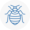 Bed Bug Extermination In Angus