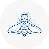 Bee Nest Removal Angus