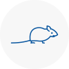 Mice Exterminators In Angus