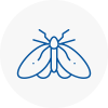 Moth Control Specialists In Angus