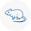 Rat Control Angus