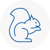 Angus Rodent Removals
