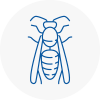 Angus Wasp Nest Removal